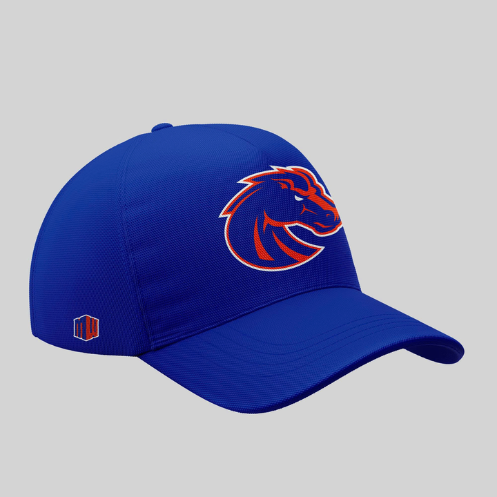 Boise State Broncos Football "The Blue and the State of Idaho" Special Edition Tshirt 2025 V3
