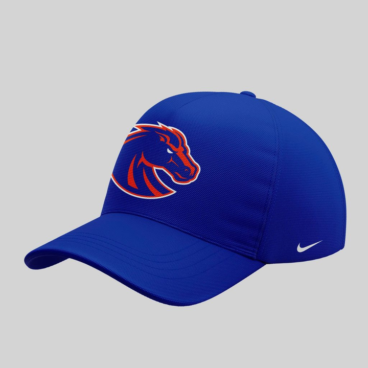Boise State Broncos Football "The Blue and the State of Idaho" Special Edition Tshirt 2025 V3