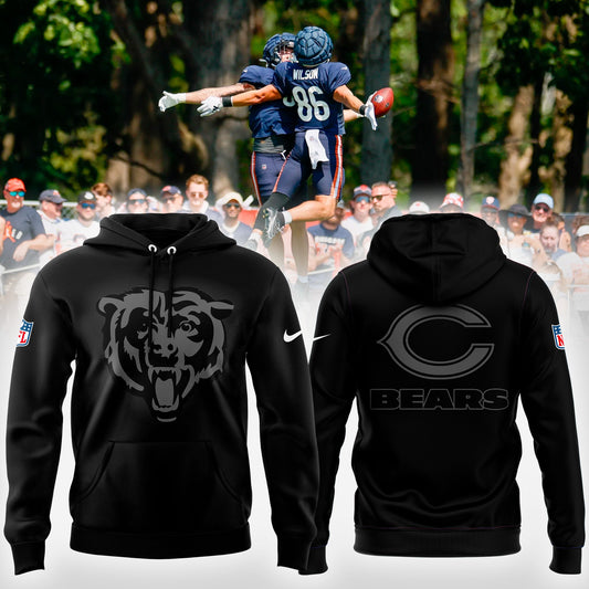 Chicago Bears 2026 New Pullover Hoodie